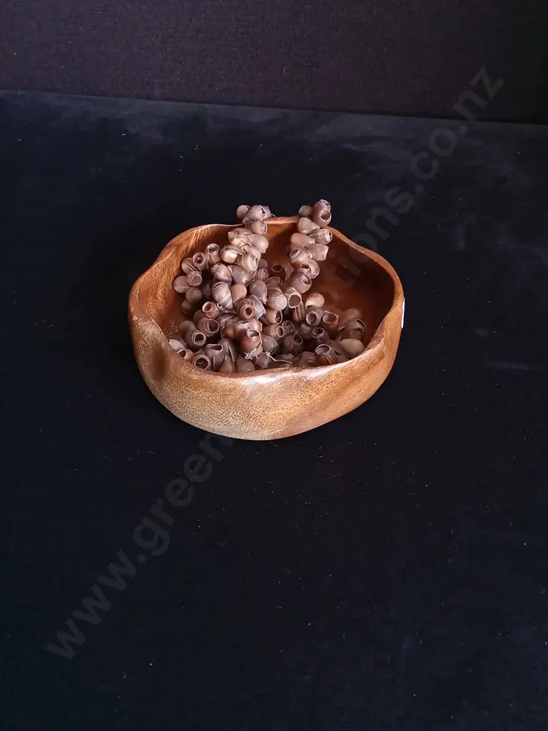 4 PIECES WOODEN BOWLS AND SPIRAL SHELLS Image 1++