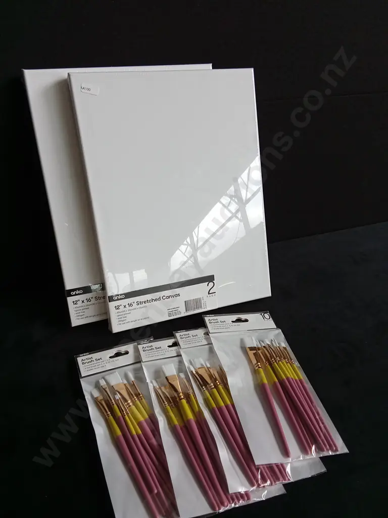 6 PIECES BRAND NEW CANVASES AND PAINT BRUSHES Image 1++