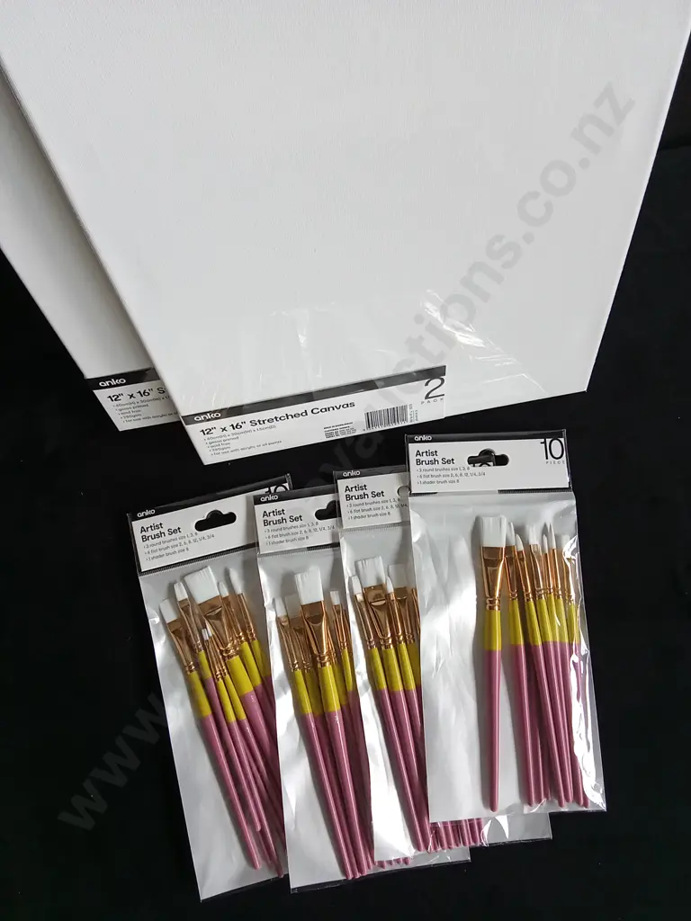 6 PIECES BRAND NEW CANVASES AND PAINT BRUSHES Image 1++