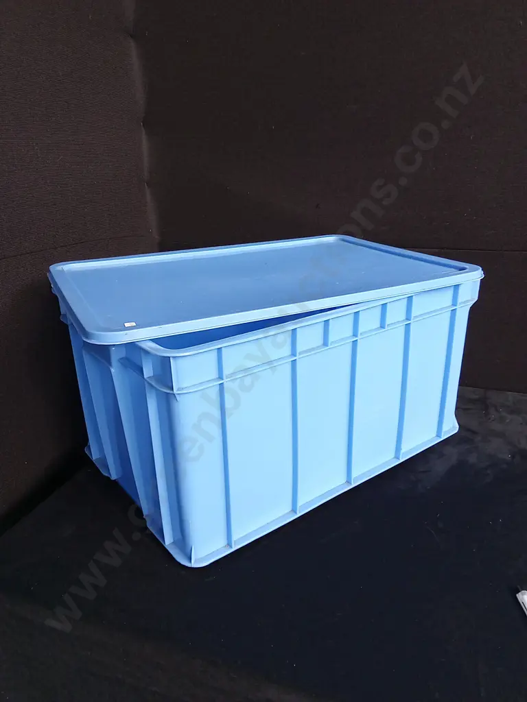 2 PIECES LARGE PLASTIC CONTAINERS Image 1++