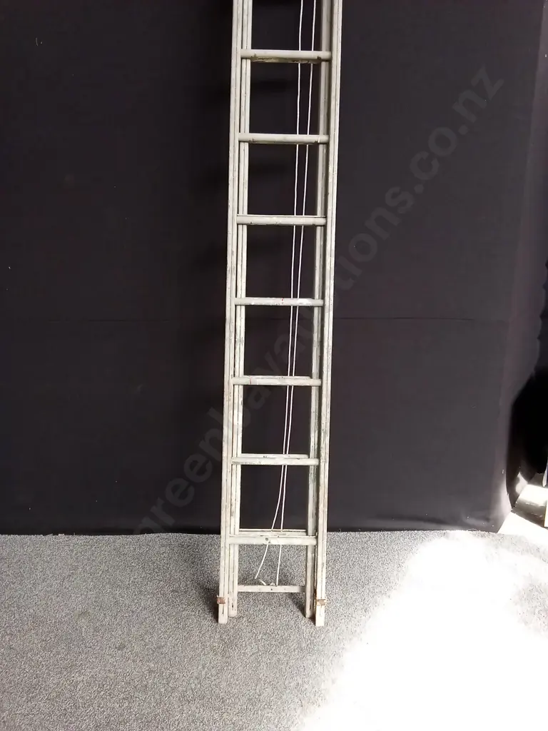 WOODEN EXTENSION LADDER Image 1++