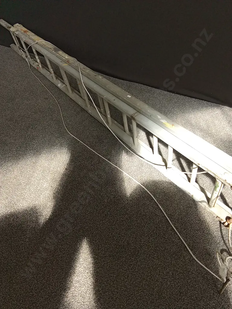 WOODEN EXTENSION LADDER Image 1++