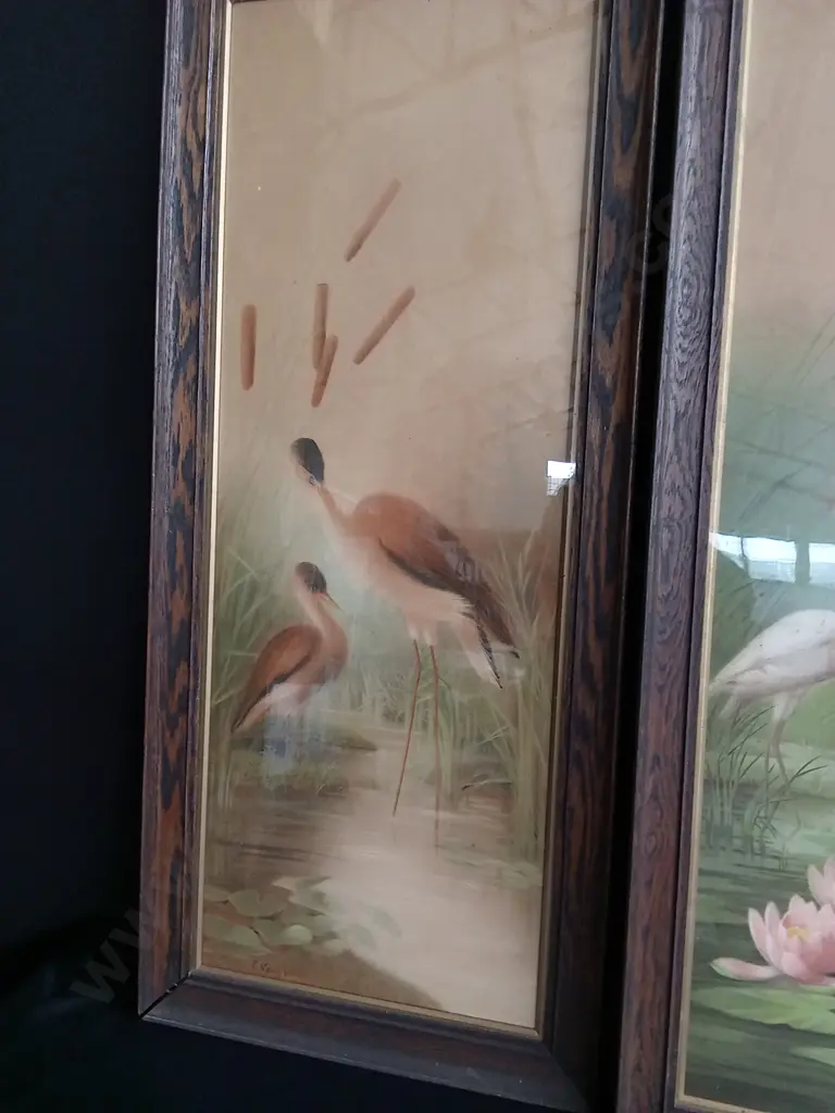 2 FRAMED E. VOUGA BIRD STUDIES Image 1++