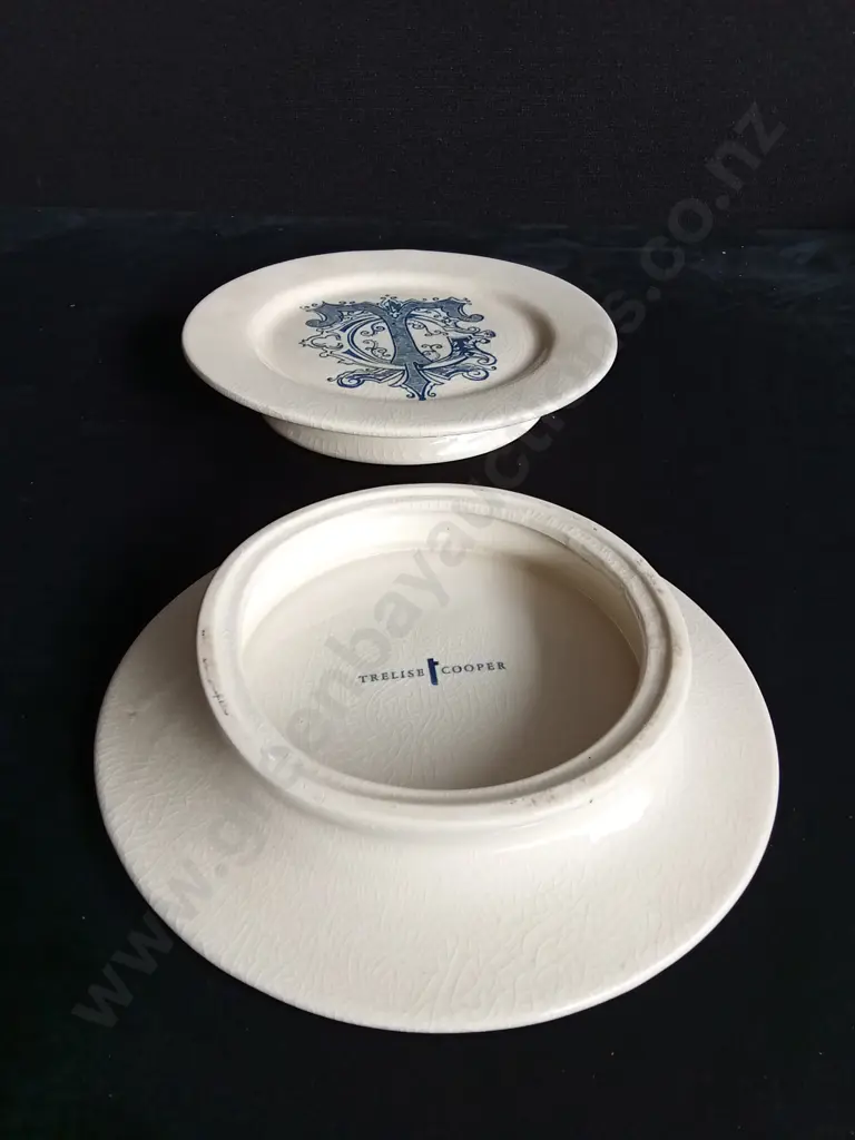 2 TRELISE COOPER SERVING PLATES Image 1++