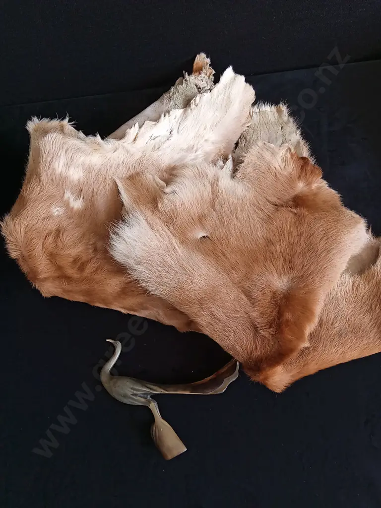 3 REAL FUR SKINS AND HAND CARVED BIRDS SCULPTURE FROM NATURAL HORN Image 1++