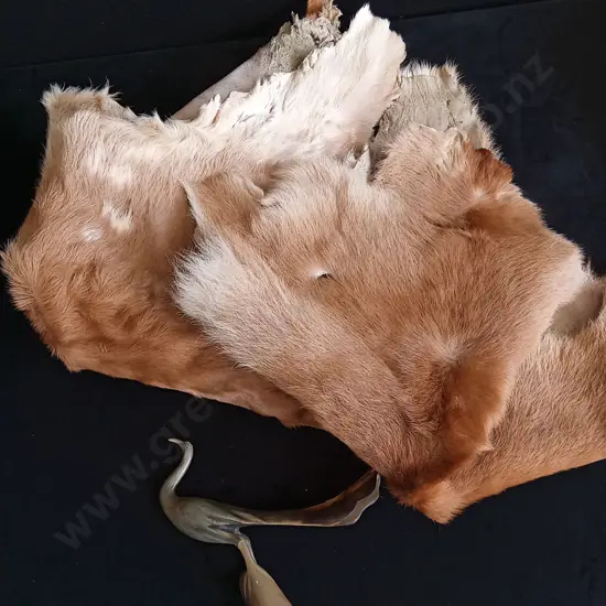 3 REAL FUR SKINS AND HAND CARVED BIRDS SCULPTURE FROM NATURAL HORN