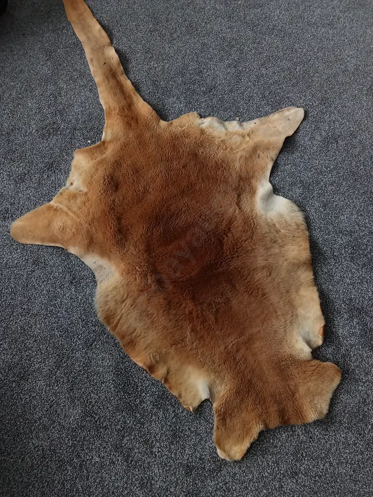 DECORATIVE ANIMAL HIDE RUG L 1 M Image 1++