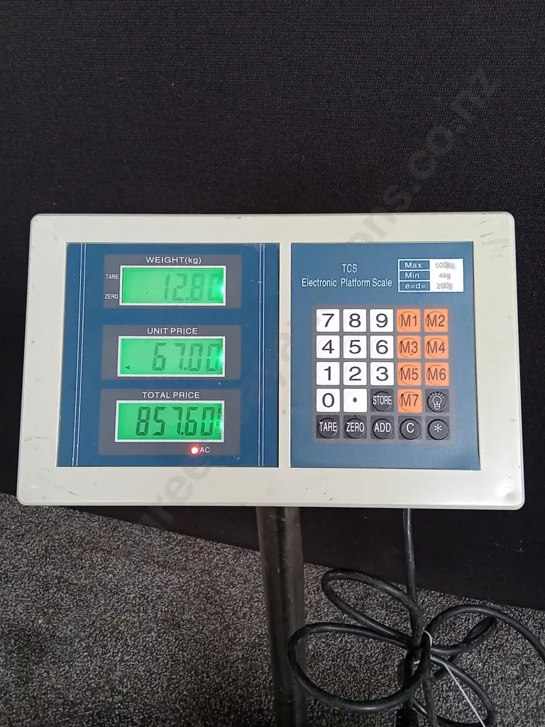 TCS ELECTRONIC PLATFORM SCALE WORKING Image 1++