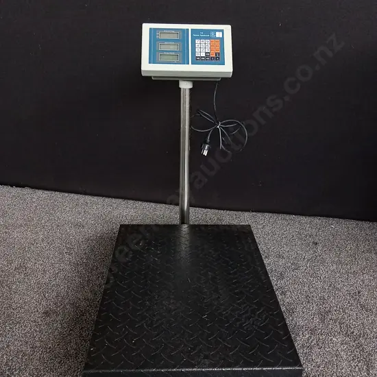 TCS ELECTRONIC PLATFORM SCALE WORKING