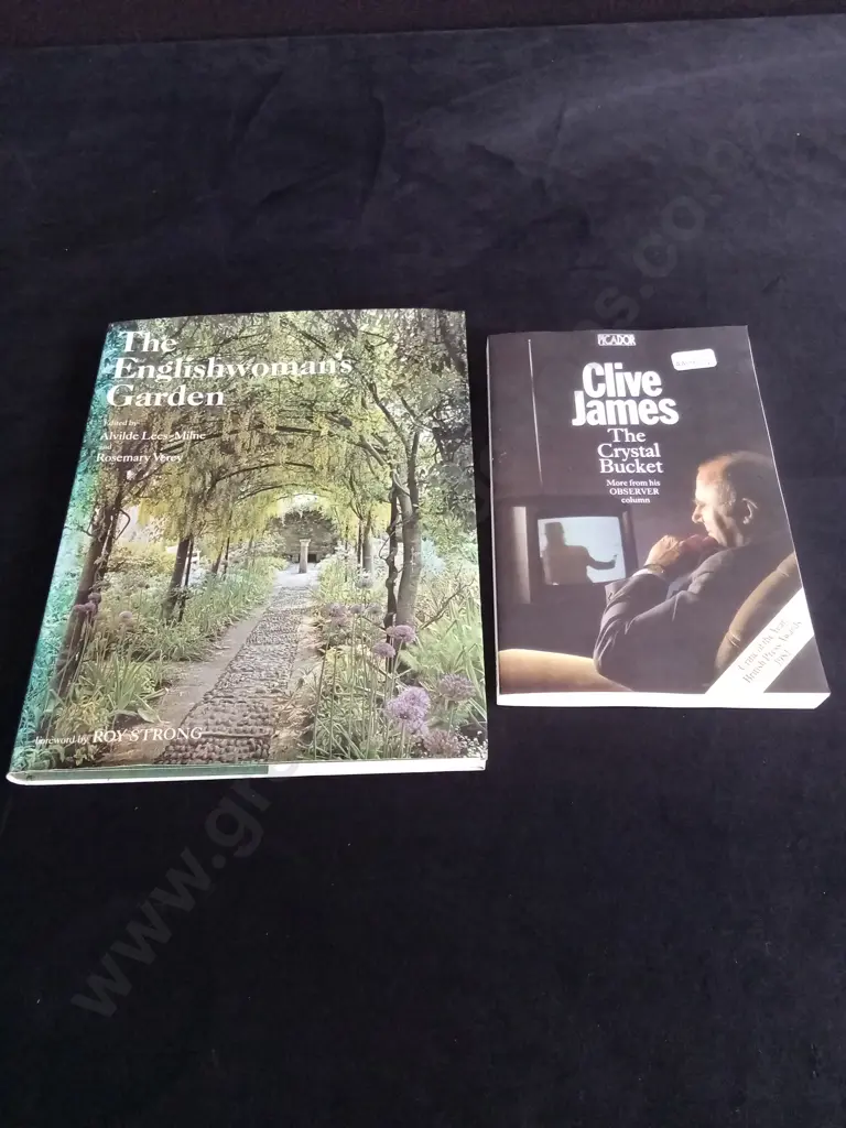 2 BOOKS Image 1++