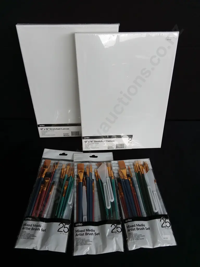 5 PIECES BRAND NEW PAINTBRUSHES AND CANVASES Image 1++