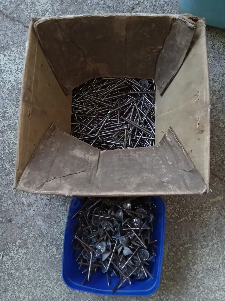 BOX OF NAILS AND GALVANIZED ROOFING NAILS Image 1++