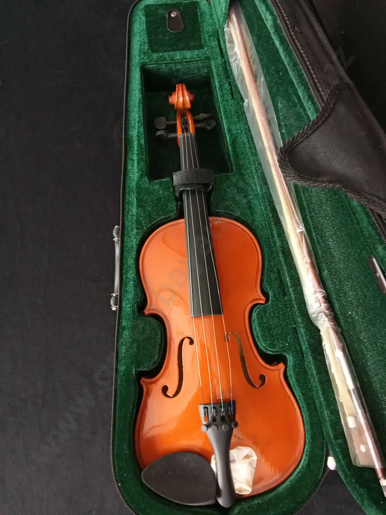 StUDENT VIOLIN, INCLUDES CASE Image 1++