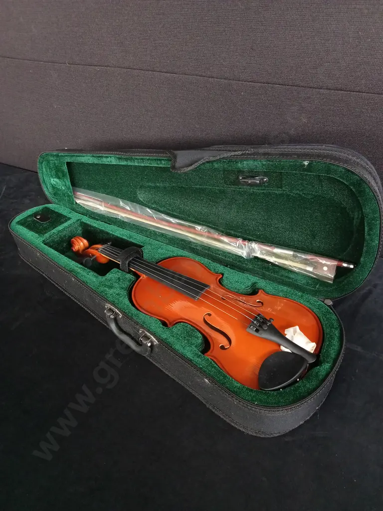 StUDENT VIOLIN, INCLUDES CASE Image 1++