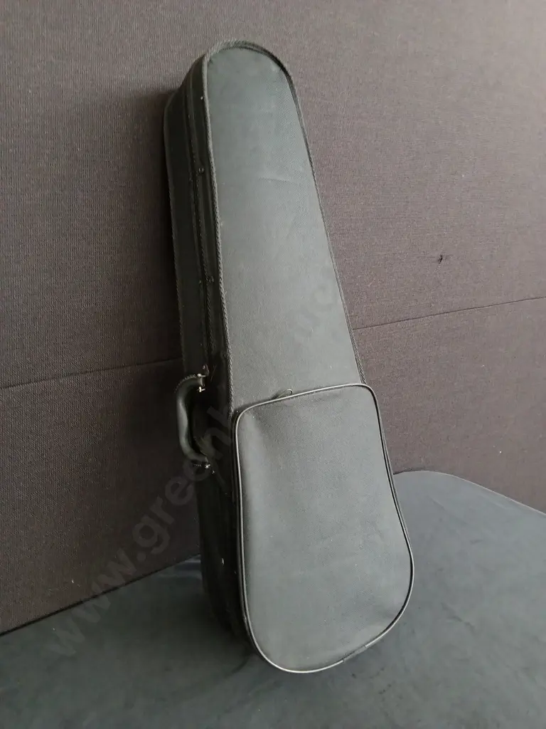 StUDENT VIOLIN, INCLUDES CASE Image 1++