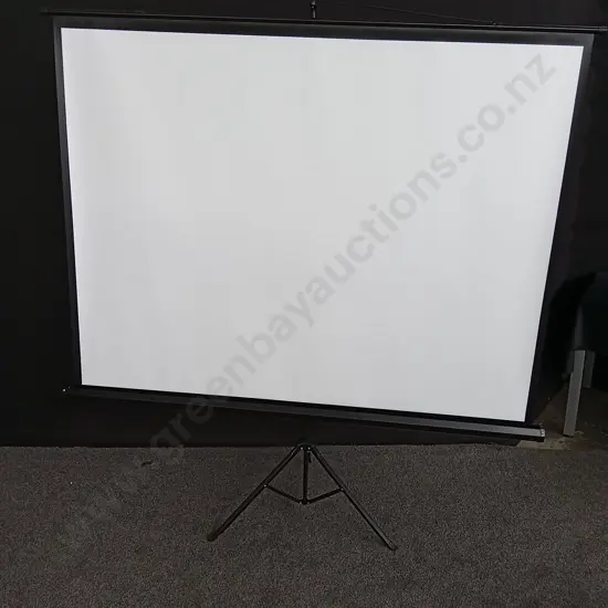 PORTABLE PROTECTION SCREEN