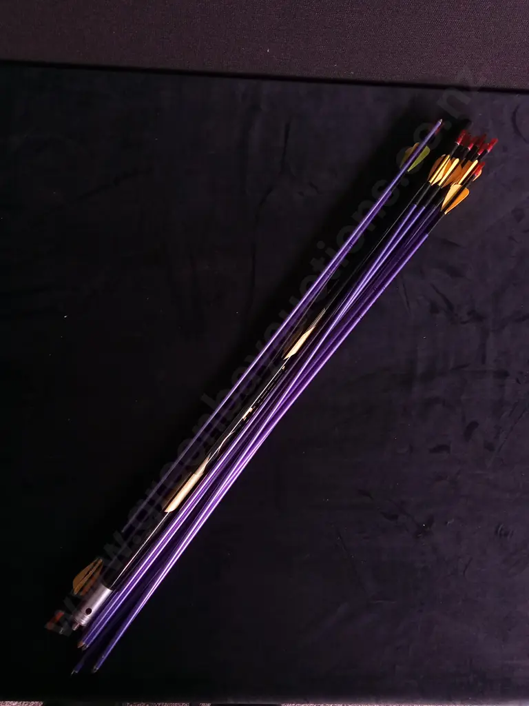 ARCHERY SET AND CARRY CASE Image 1++