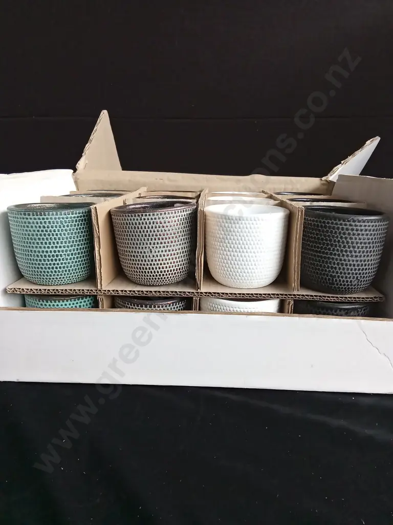 BOX OF 24 NEW ASSORTED COLOUR SMALL PLANT POTS Image 1++