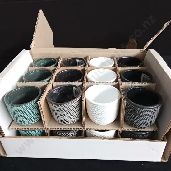 BOX OF 24 NEW ASSORTED COLOUR SMALL PLANT POTS