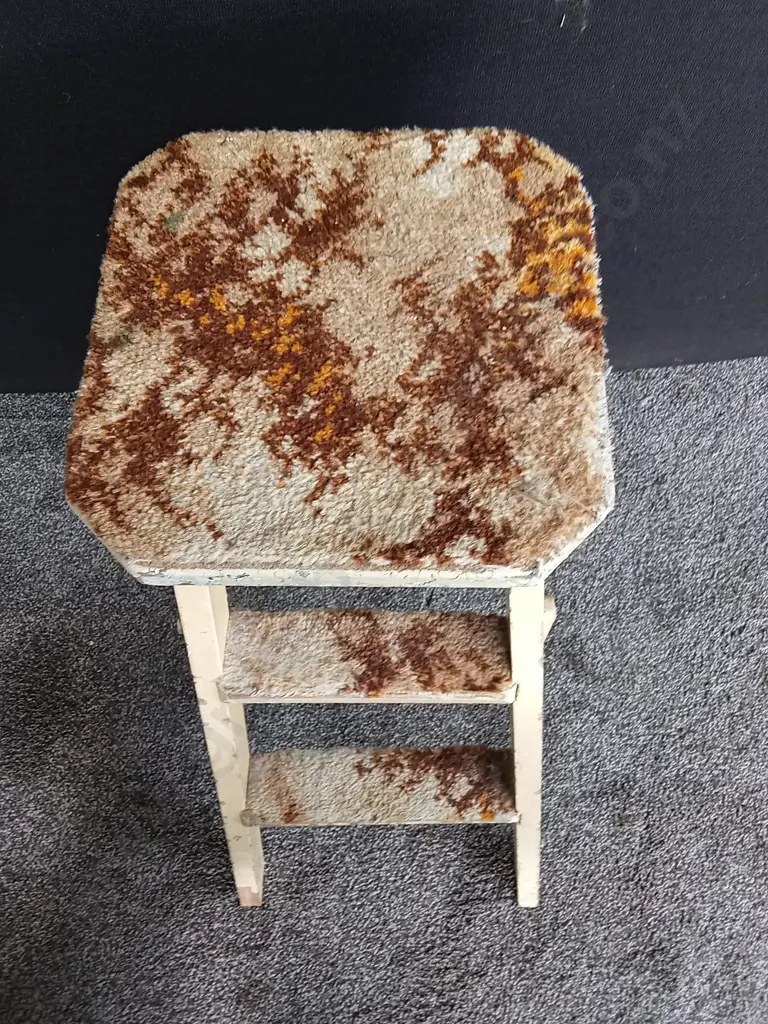 STEPPING STOOL WITH CARPET MISSING SCREW AS PICTURED Image 1++