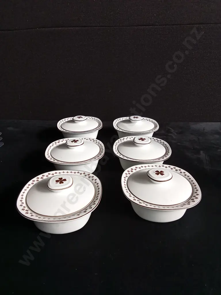 6 PIECE VERSATONE BY NORITAKE COVERED BOWLS SET Image 1++