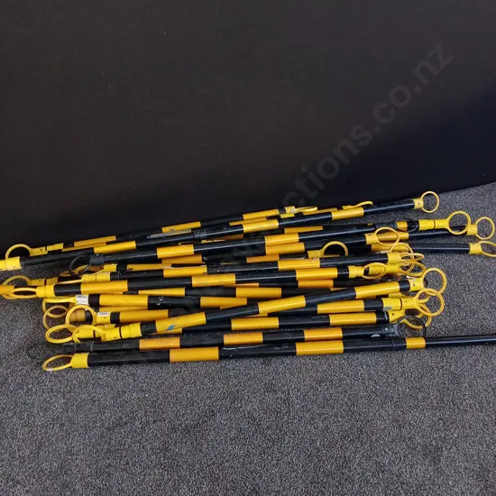 EXTENDABLE CONE BARS