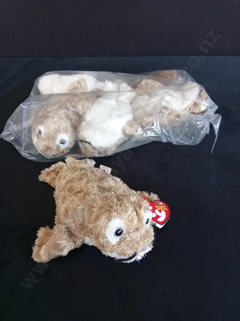 BRAND NEW BAG OF 6 TY BEANIE BABIES "FINS THE SEAL" Image 1++