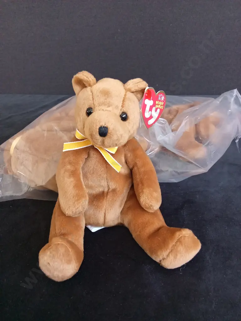 BRAND NEW BAG OF 6 TY BEANIE BABIES "SHERWOOD THE BEAR" Image 1++