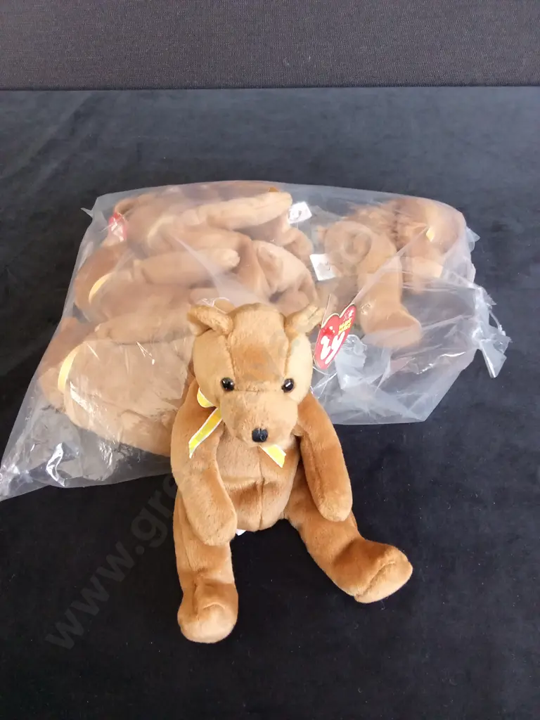 BRAND NEW BAG OF 6 TY BEANIE BABIES "SHERWOOD THE BEAR" Image 1++