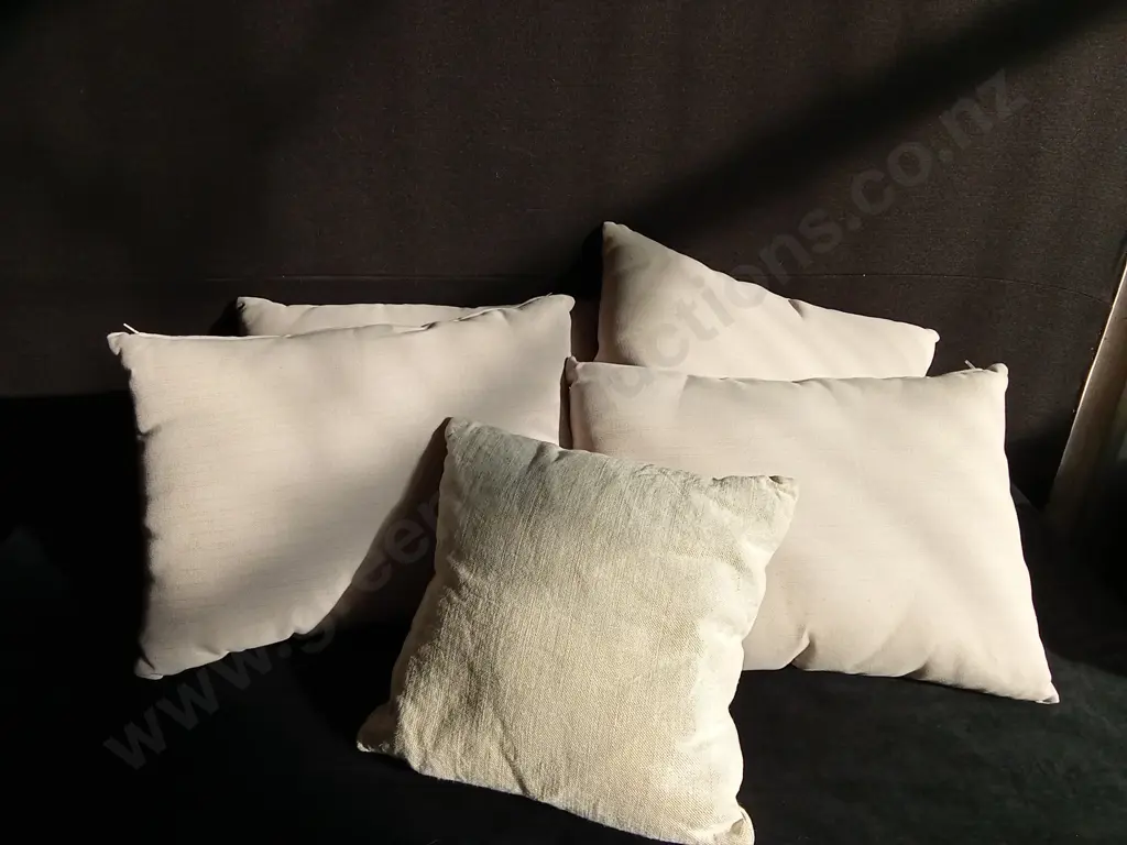 5 CUSHIONS Image 1++