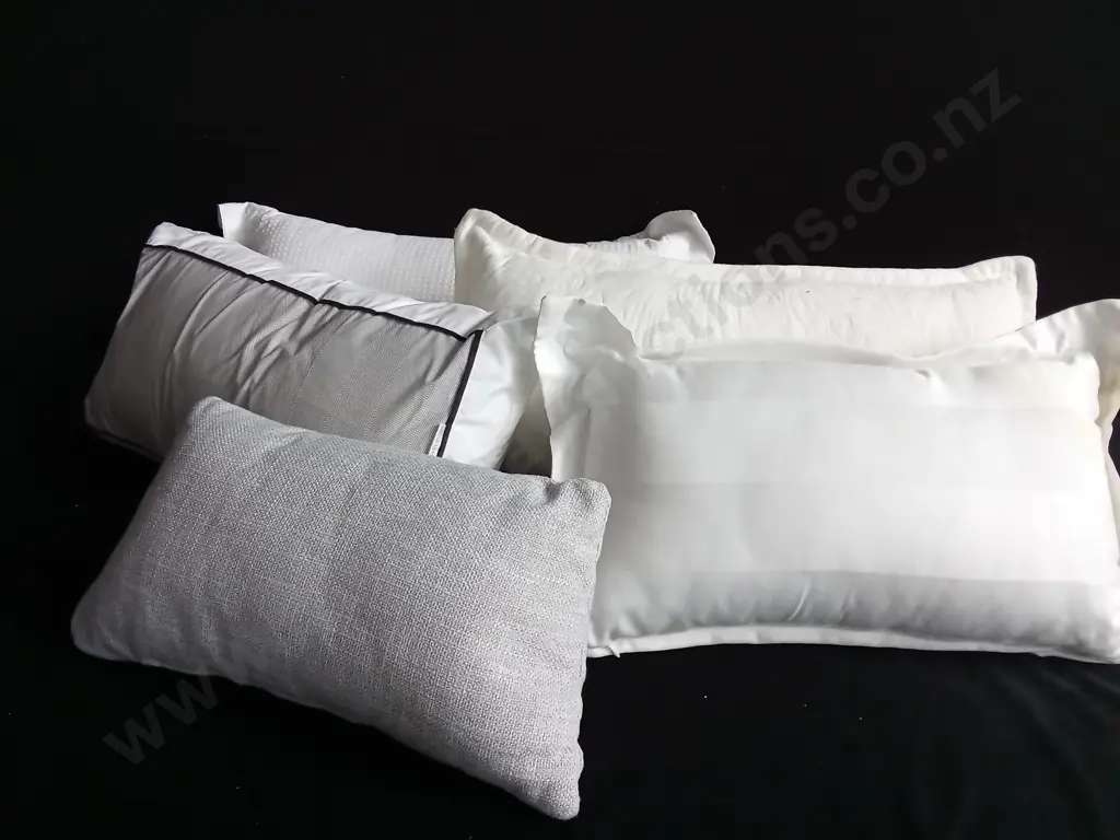 5 CUSHIONS Image 1++