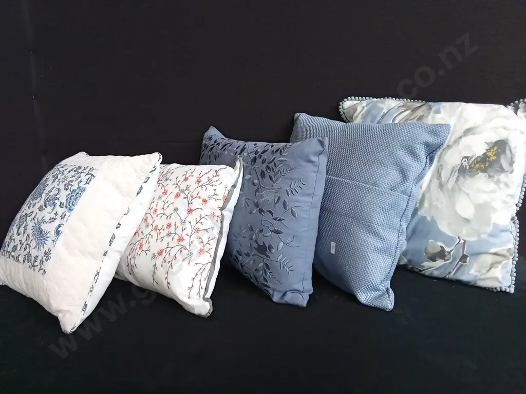 5 CUSHIONS Image 1++