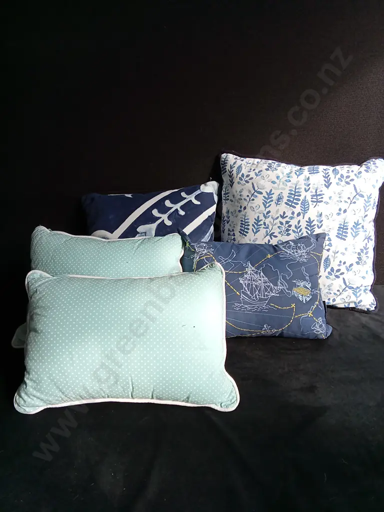5 CUSHIONS Image 1++