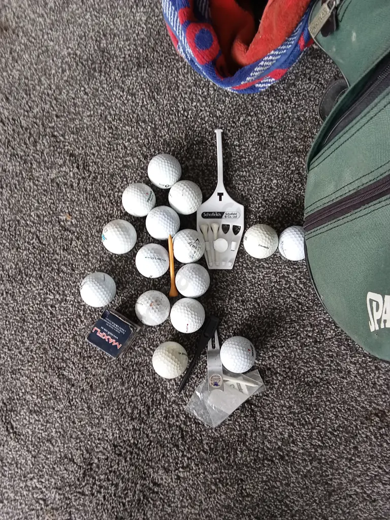 SPALDING GOLF BAG WITH 12 GOLF CLUBS AND OTHER GOLF ITEMS Image 1++