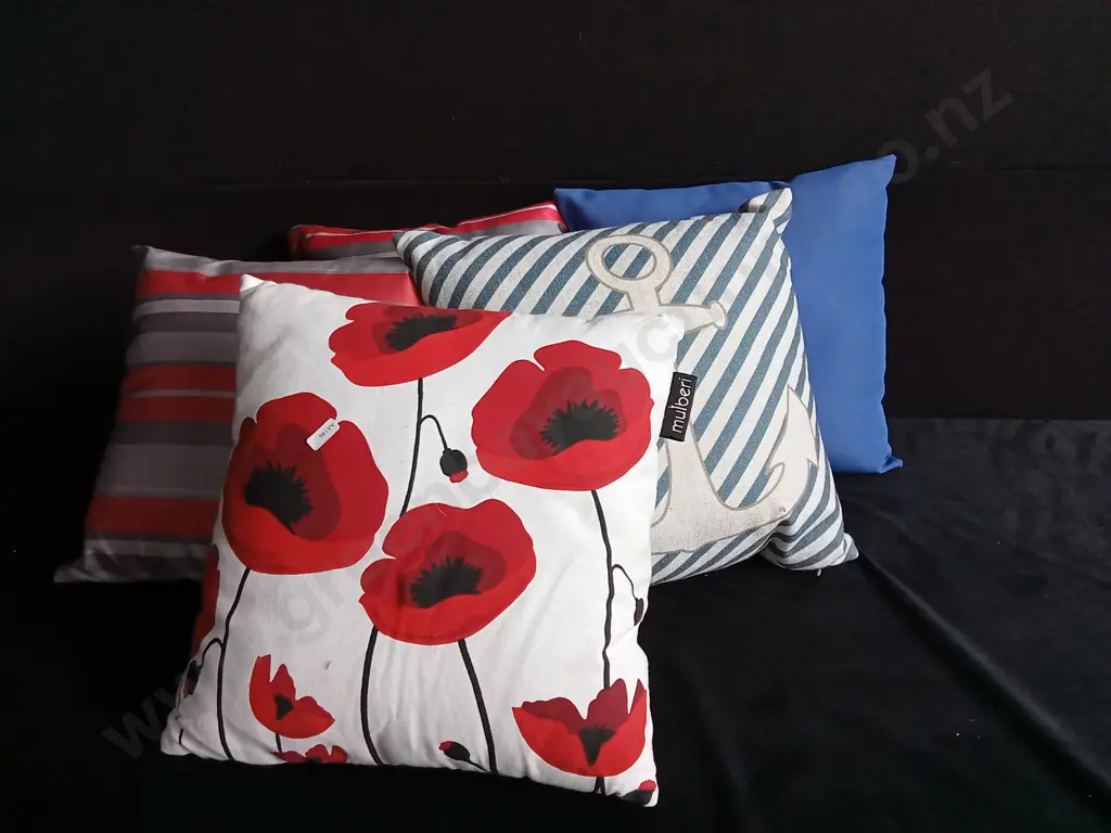 5 CUSHIONS Image 1++