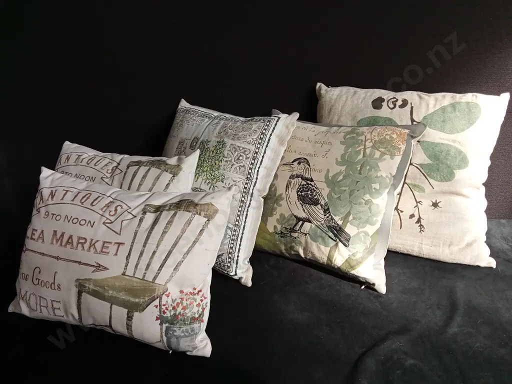 5 CUSHIONS Image 1++