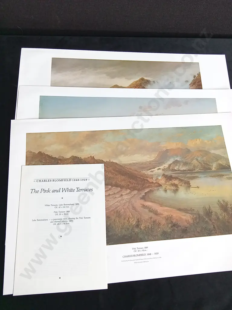 3 VINTAGE PRINTS BY CHARLES BLOMFIELD, THE PINK AND WHITE TERRACES, PUBLISHED 1986 Image 1++