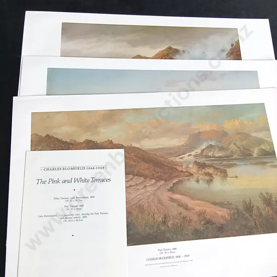 3 VINTAGE PRINTS BY CHARLES BLOMFIELD, THE PINK AND WHITE TERRACES, PUBLISHED 1986