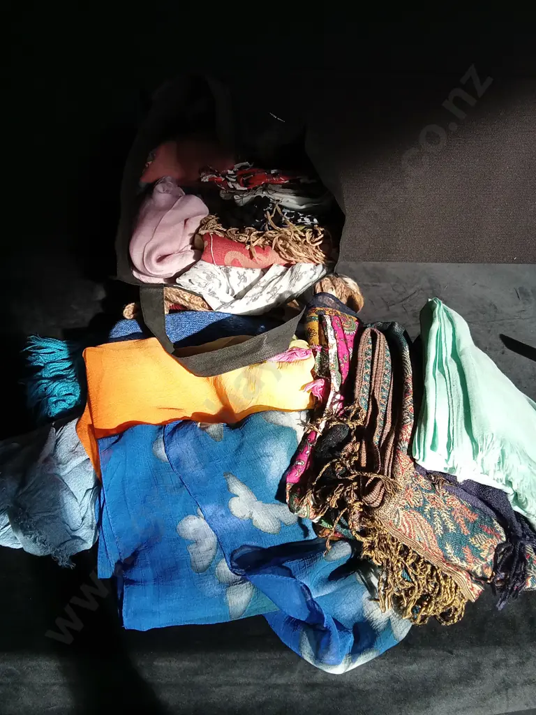 BAG OF SCARVES Image 1++