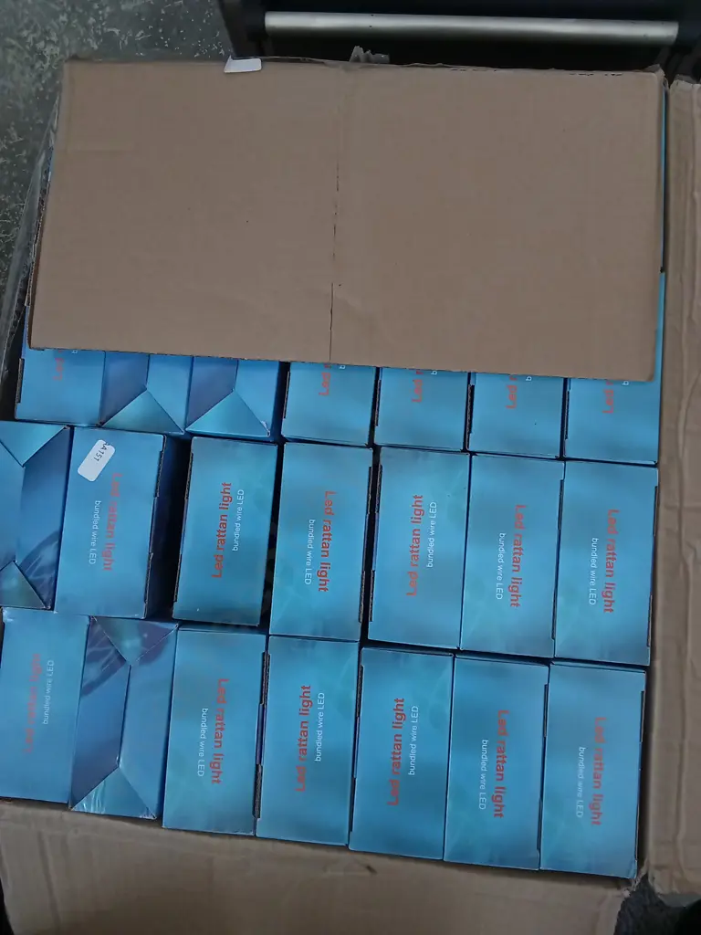 BOX OF LED RATTAN LIGHTS Image 1++