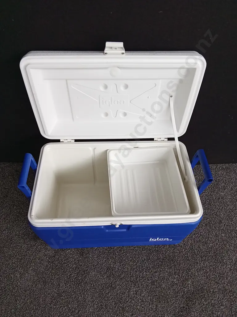 IGLOO LEGEND 54 CHILLY BIN Image 1++