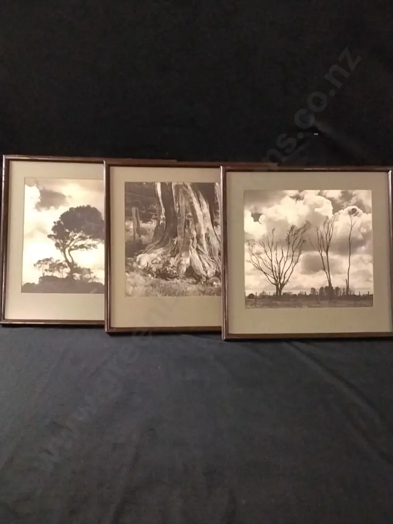 FRAMED PRINTS X 3 Image 1++