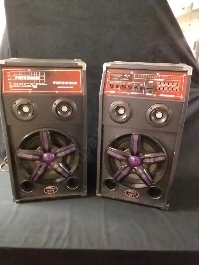 PAIR OF PMP01500W KARAOKE SPEAKERS - POWERS ON AND UNTESTED Image 1++