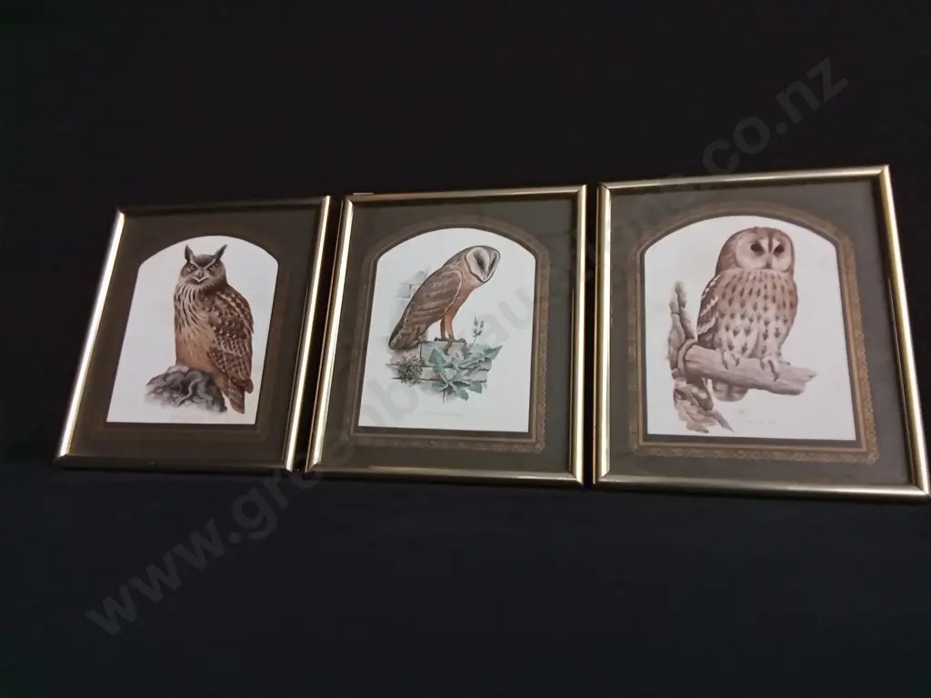 TRIO OF FRAMED VINTAGE OWL LITHOGRAPH PRINTS, EAGLE OWL, BARN OWL, TAWNY OWL Image 1++
