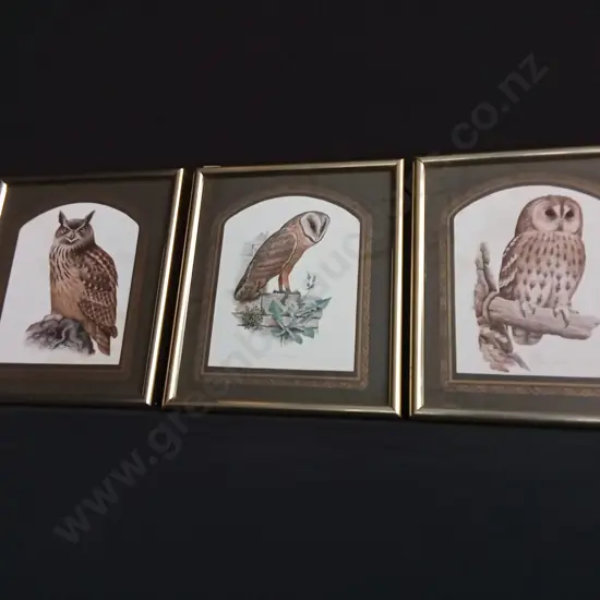 TRIO OF FRAMED VINTAGE OWL LITHOGRAPH PRINTS, EAGLE OWL, BARN OWL, TAWNY OWL