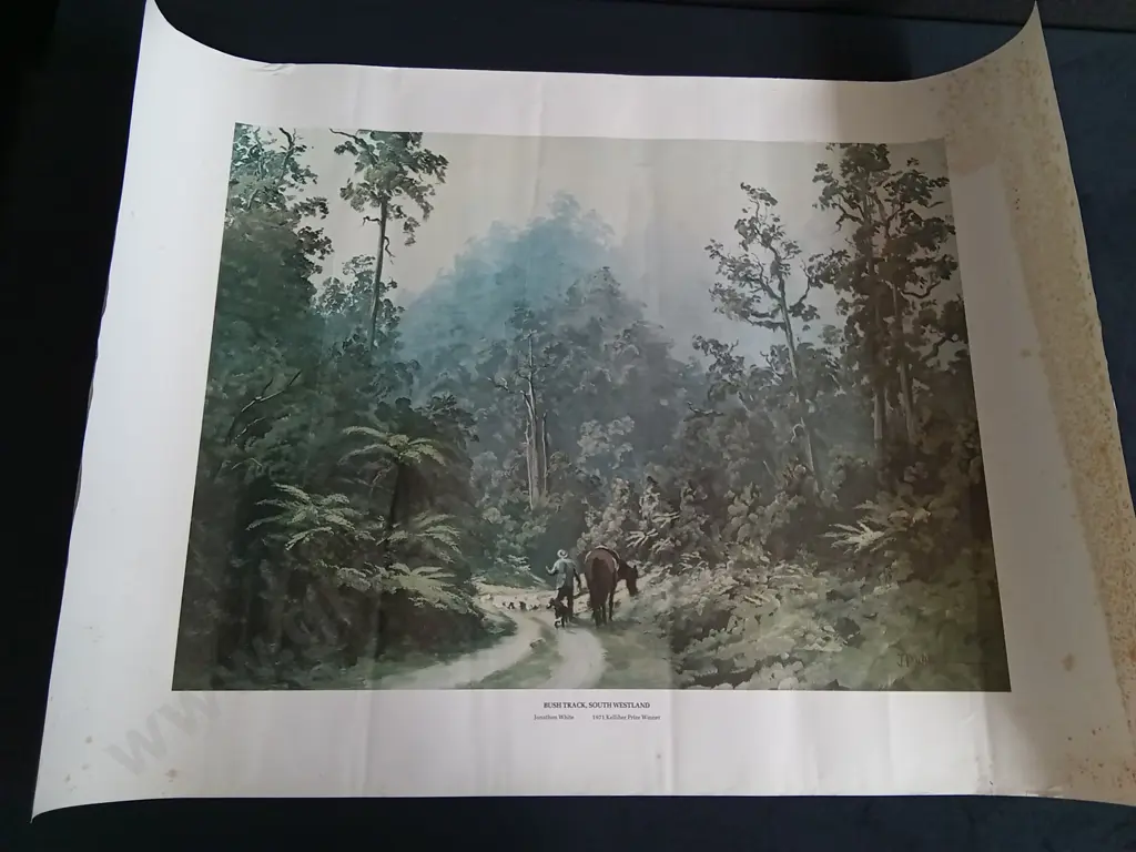 LARGE VINTAGE JONATHON WHITE ART PRINT Image 1++