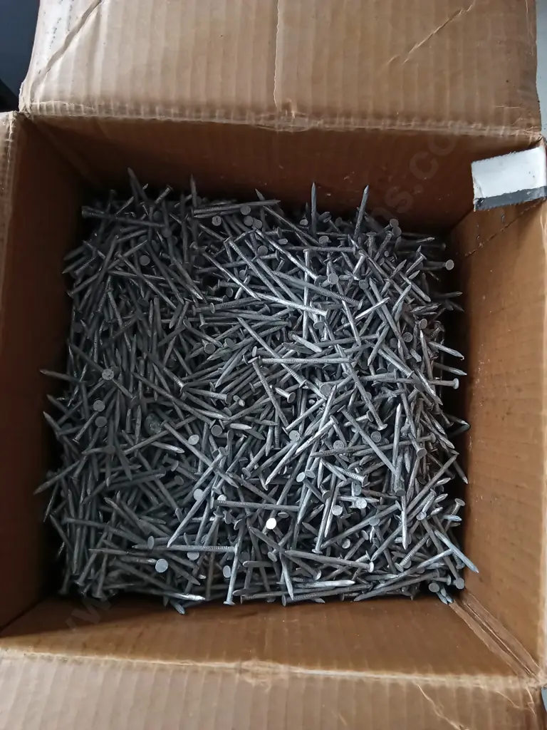 BOX OF NAILS Image 1++
