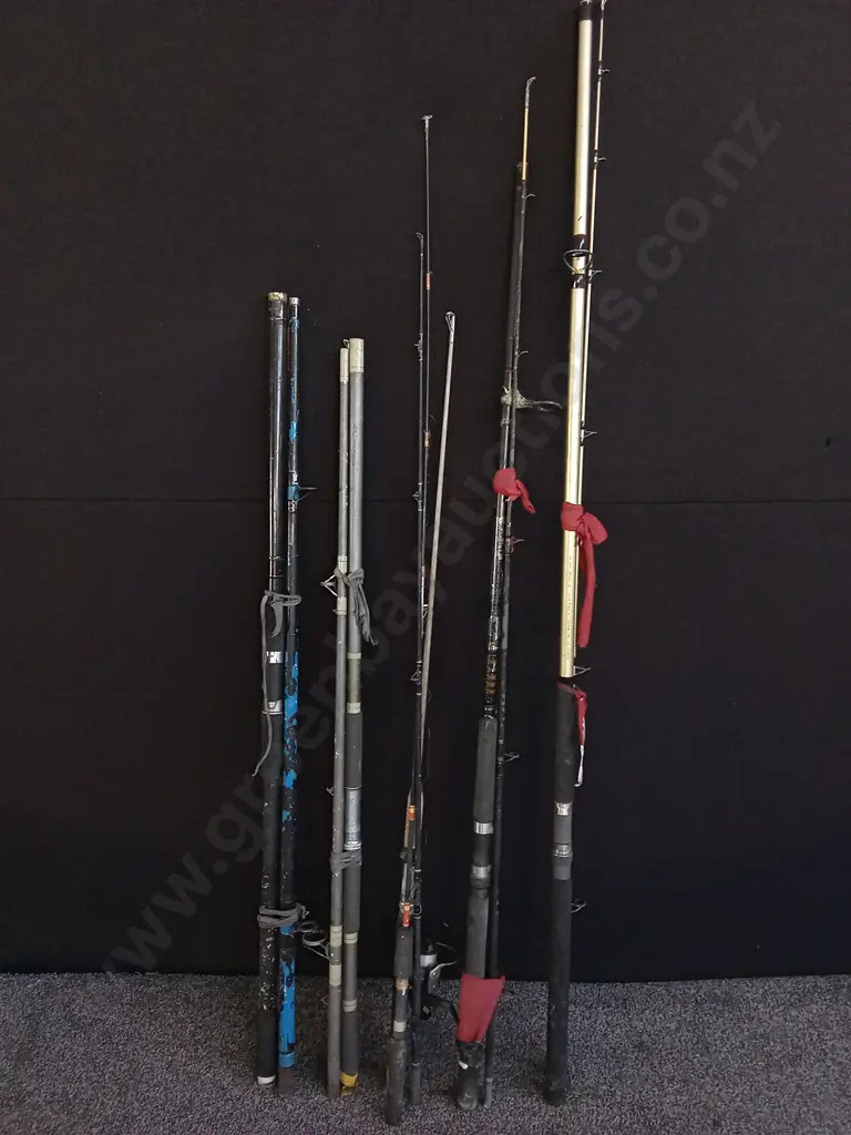 COLLECTION OF FISHING RODS Image 1++