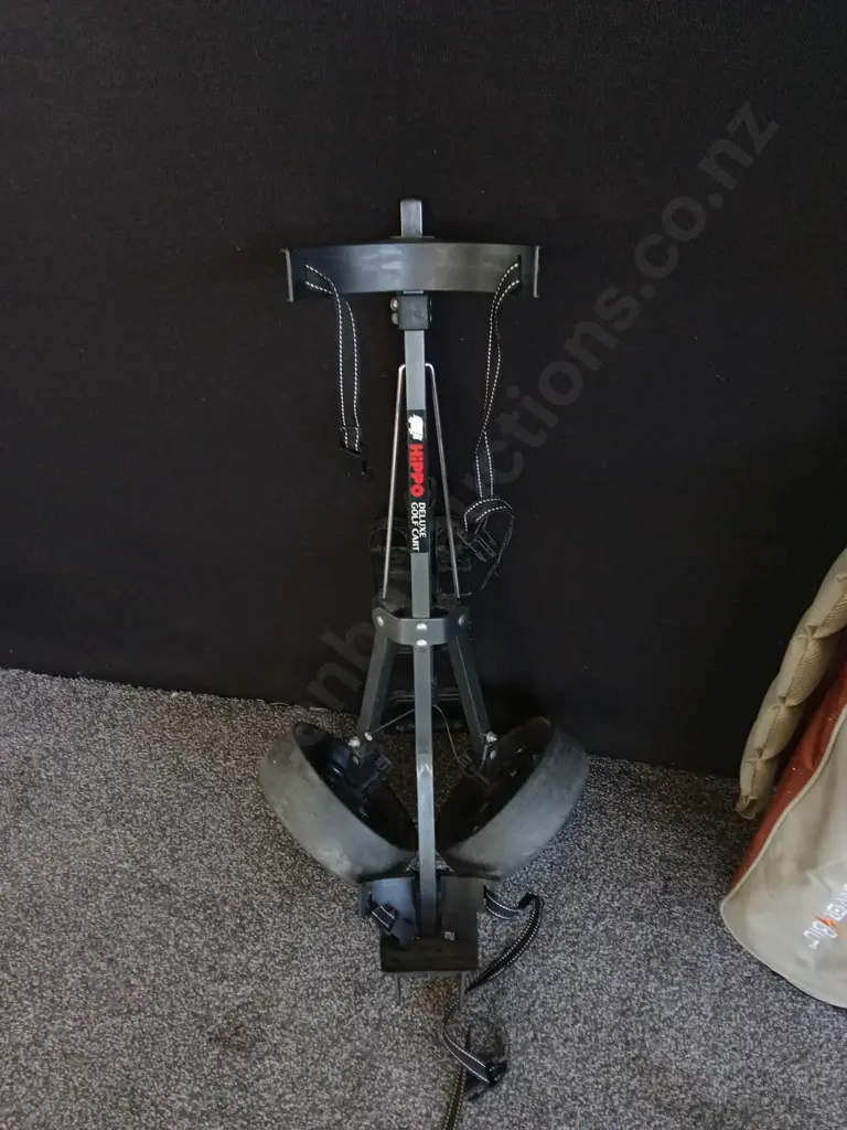 POWER BILT GOLF BAG WITH 10 GOLF CLUBS AND A HIPPO DELUXE CART Image 1++