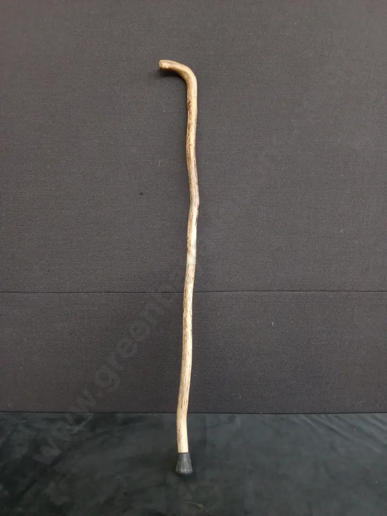 WALKING STICK Image 1++
